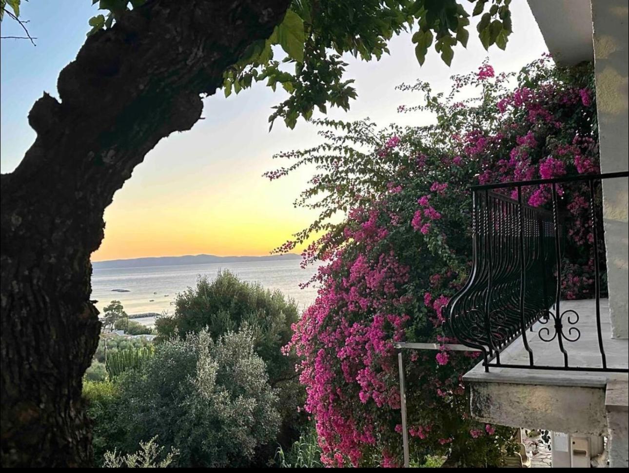 Villa Pinelopi Kalamata Exterior foto